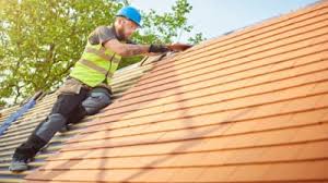 Best Skylight Installation and Repair  in Caryville, TN