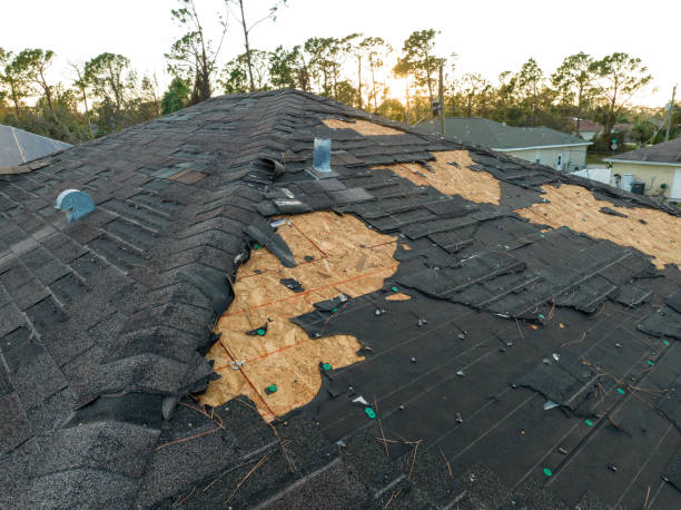 Best Roof Installation  in Caryville, TN