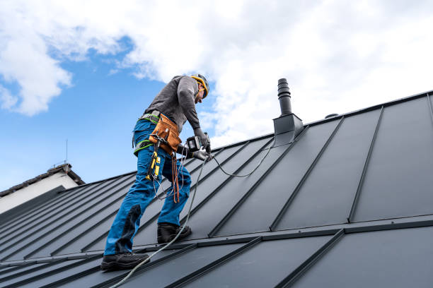 Best Asphalt Shingles Roofing  in Caryville, TN