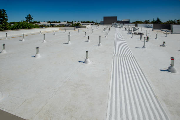 Best Emergency Roof Repair Services  in Caryville, TN